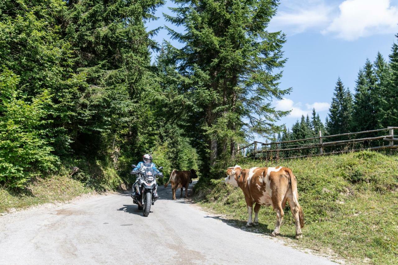 Ferienwohnungen Panorama Harrys Bike Tours 빌라흐 외부 사진